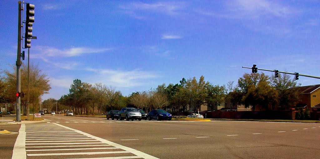 Racetrack and Linebaugh - Tampa