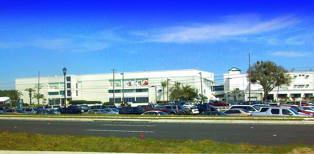 Tampa Bay Downs