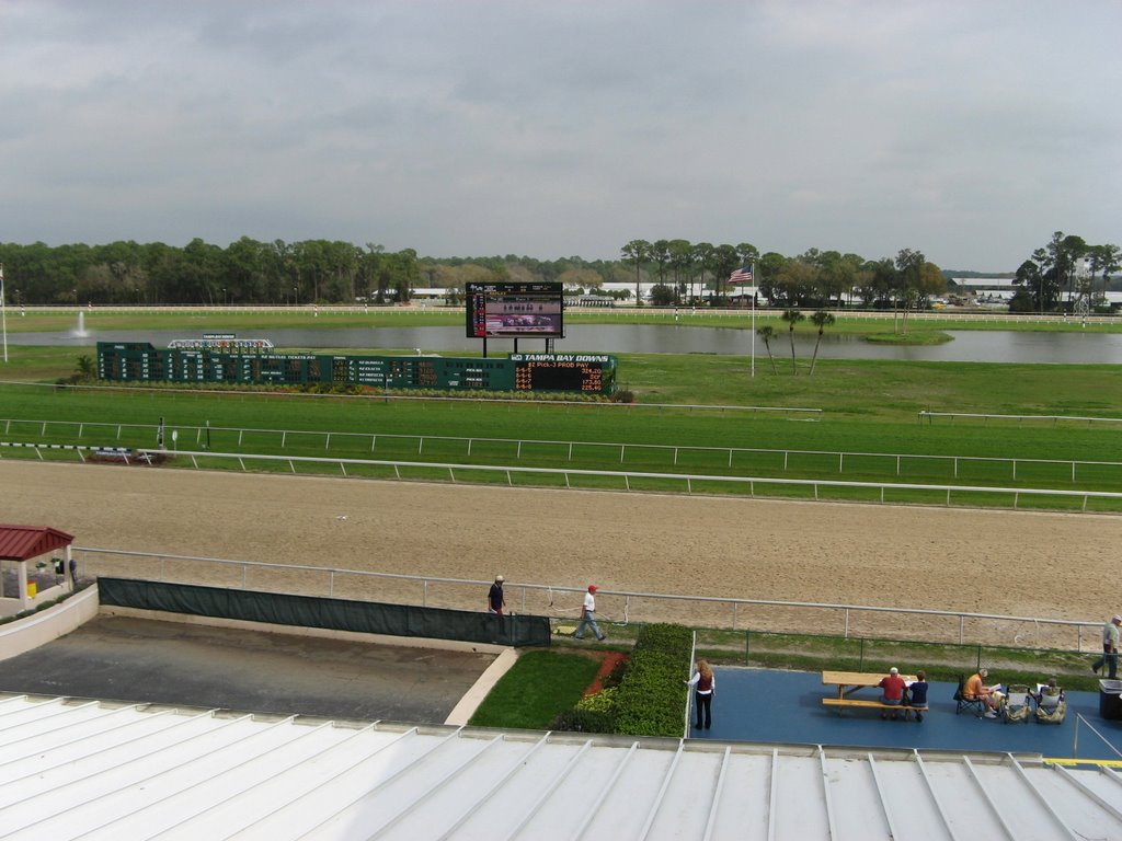 Tampa Bay Downs 2008