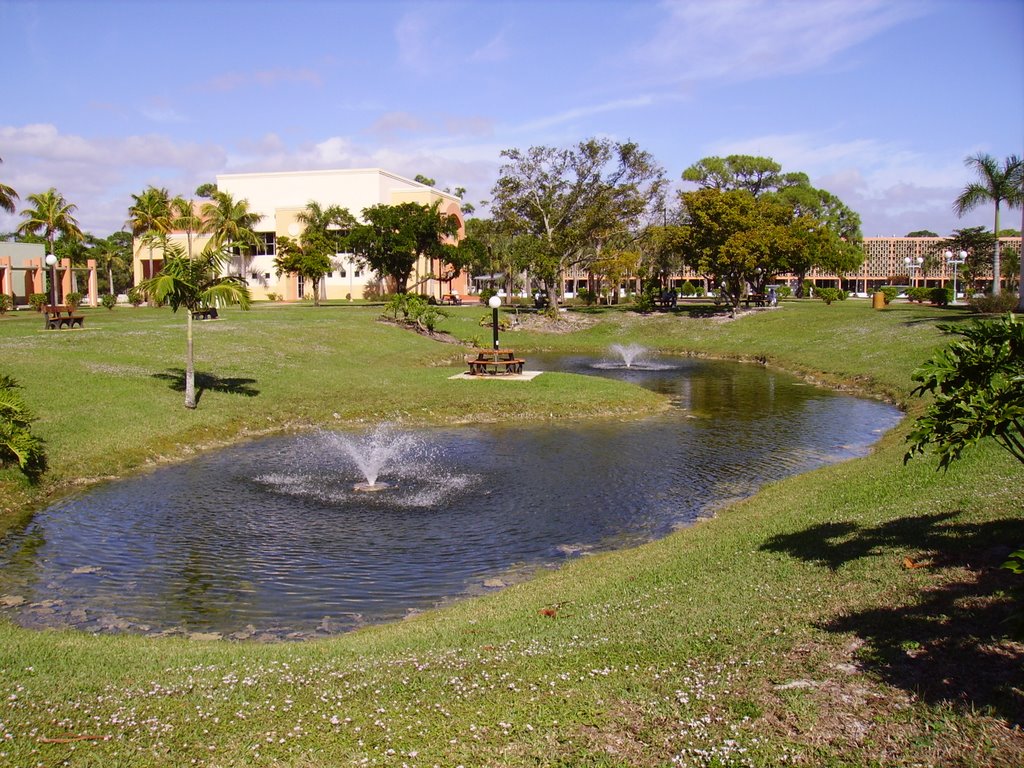 St. Thomas University