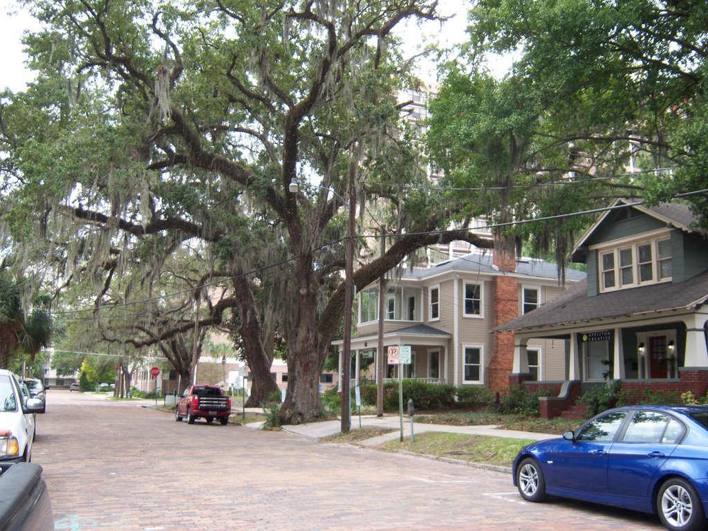 Orlando Side Street