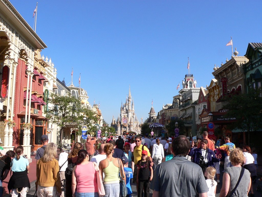 DISNEY WORLD