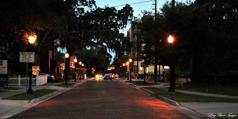 Thorton Park Neighborhood