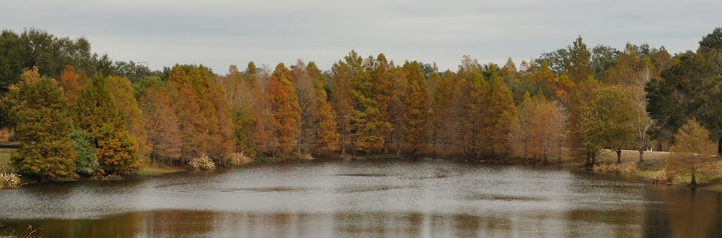 Greenwood Cemetery Wetland