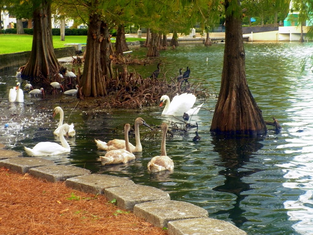 Lake Eola Park in Orlando, FL, USA