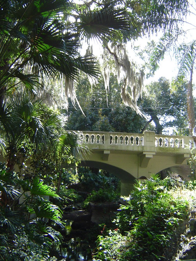 View at Disckson Azalea Park