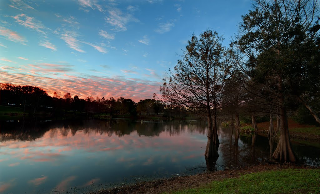 Greenwood Sunset