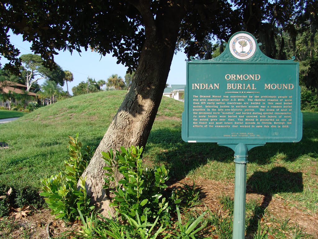 Ormond Indian burial mound, amazing it never got a house built on it!? (8-29-2011)