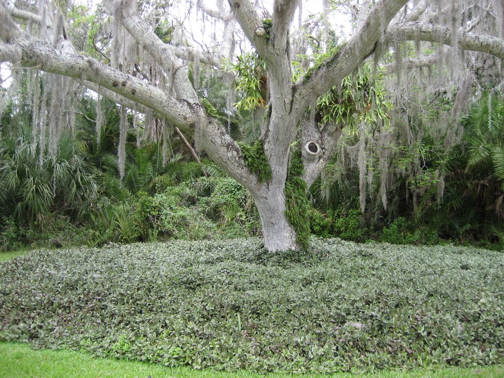 Spanish Point