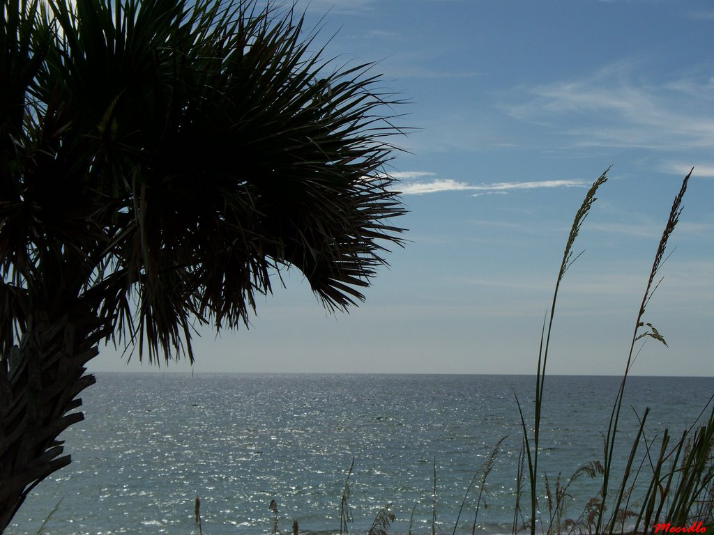 Casey Key
