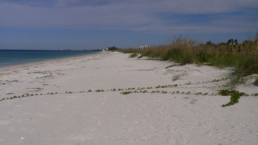 North Casey Key Beach