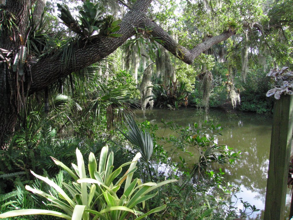 north creek