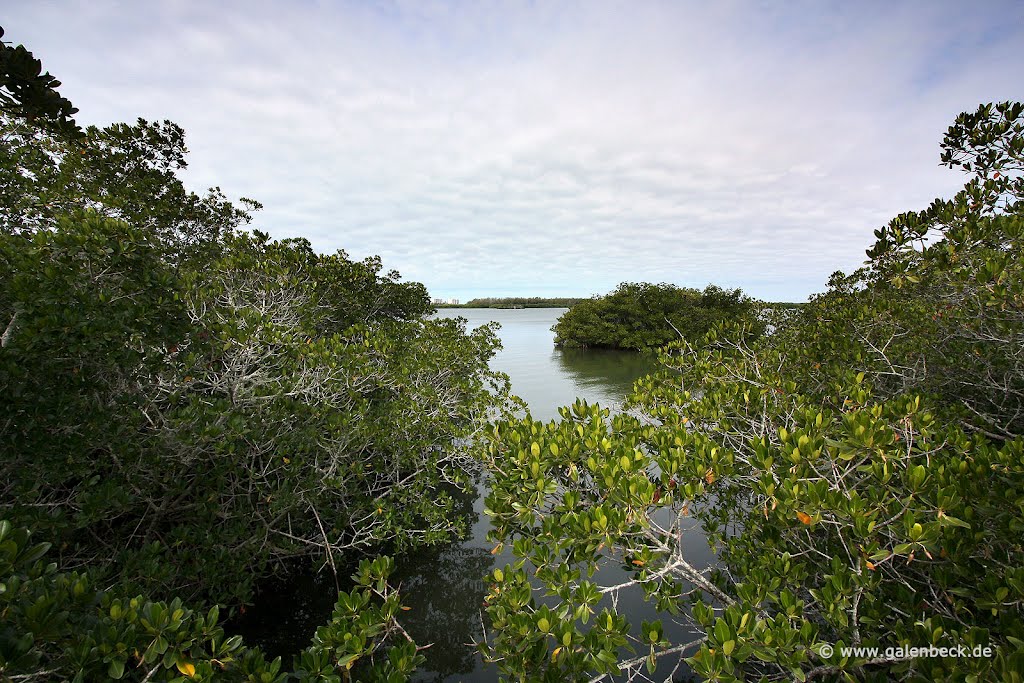 Historic Spanish Point