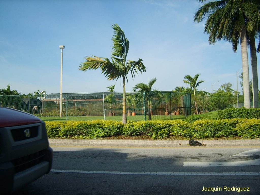 Vivero de plantas