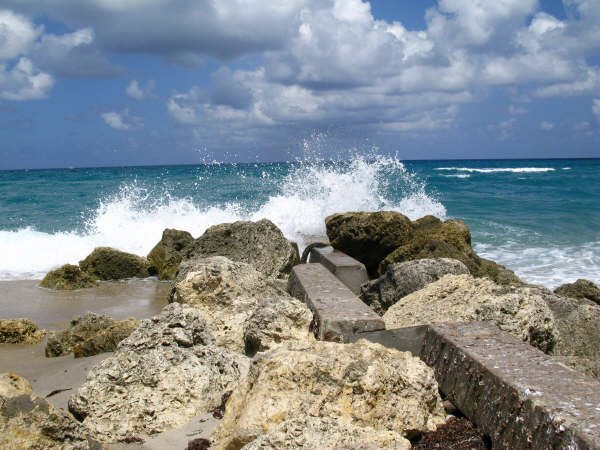 Palm Beach