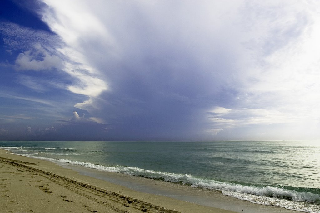 Palm Beach II