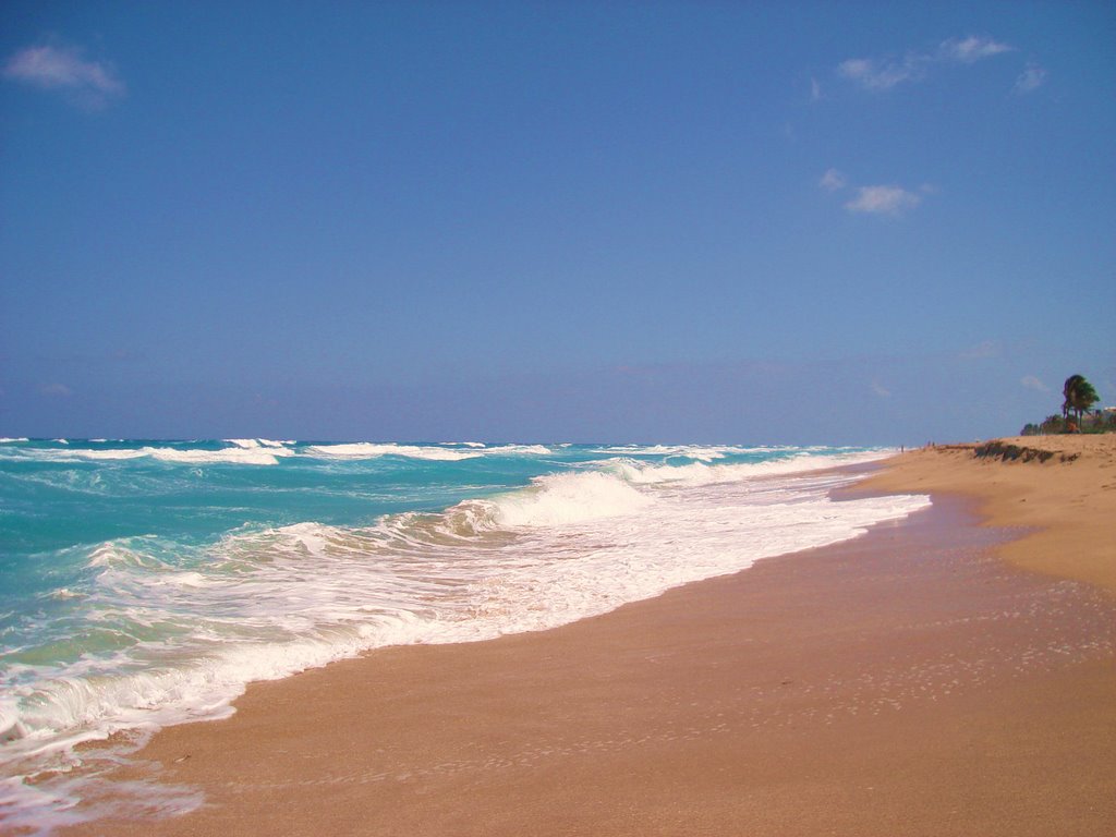 Palm Beach
