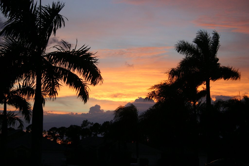 palm beach