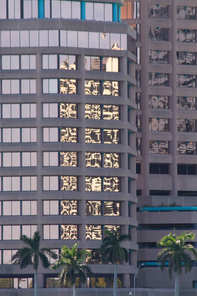 Palm Beach Condos