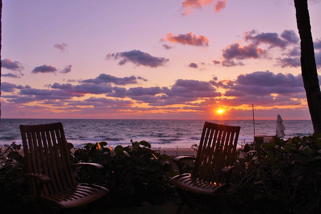 Winter in Paradise