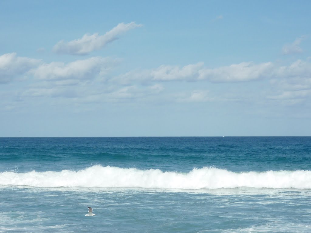 Palm Beach Fl. 2012