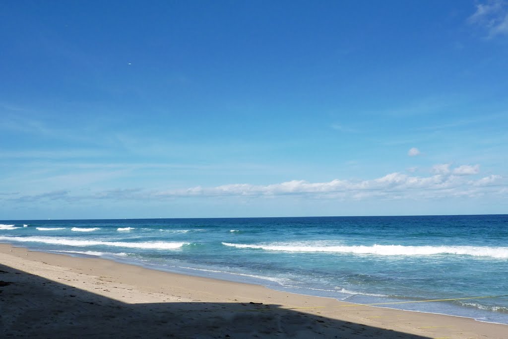 Palm Beach Fl. 2012