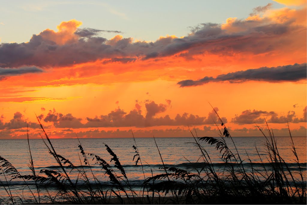 Suns glory