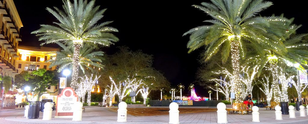DSC09831 West Palm Beach at Night