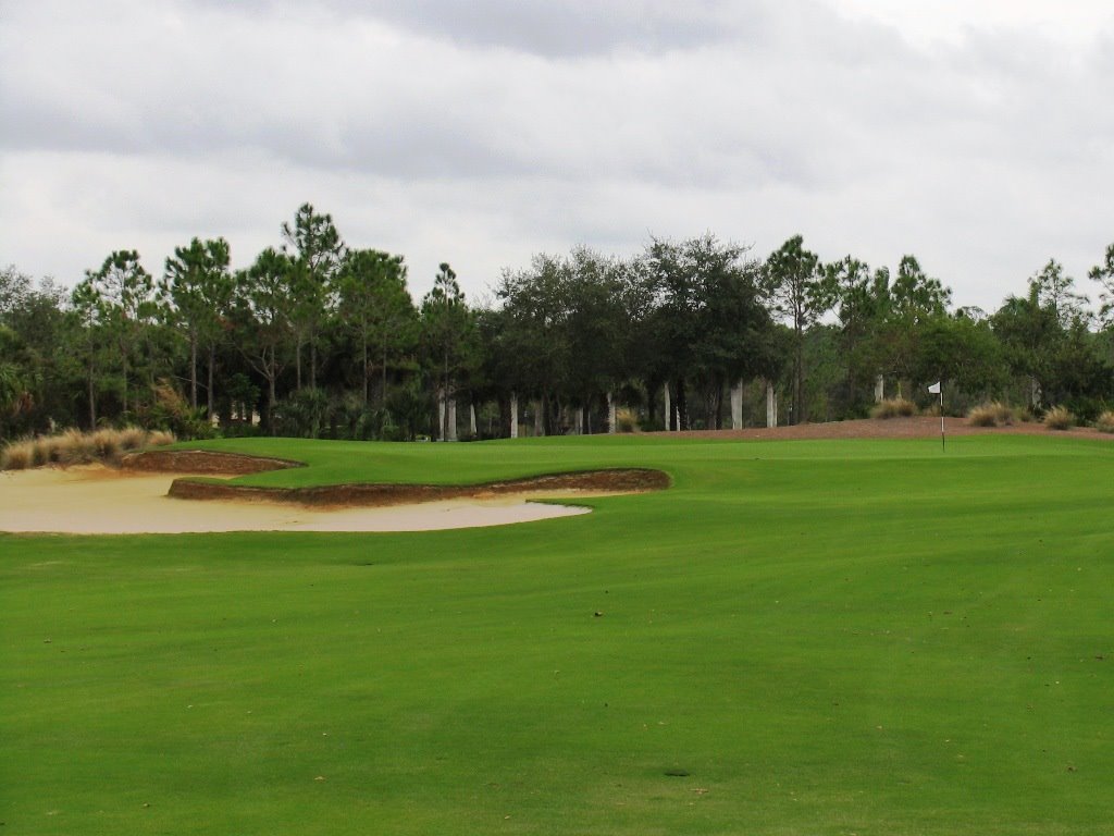 Tiburon Gold Hole 15
