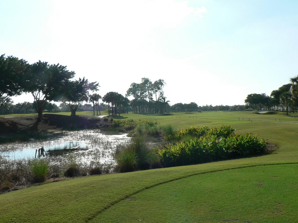 Pelican Marsh GC, Hole 16