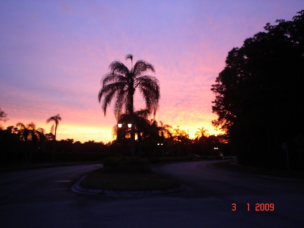 incredible colors