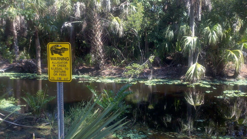 Veterans Park Nature Preserve, Naples, FL