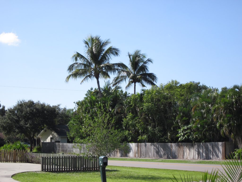 Naples, FL