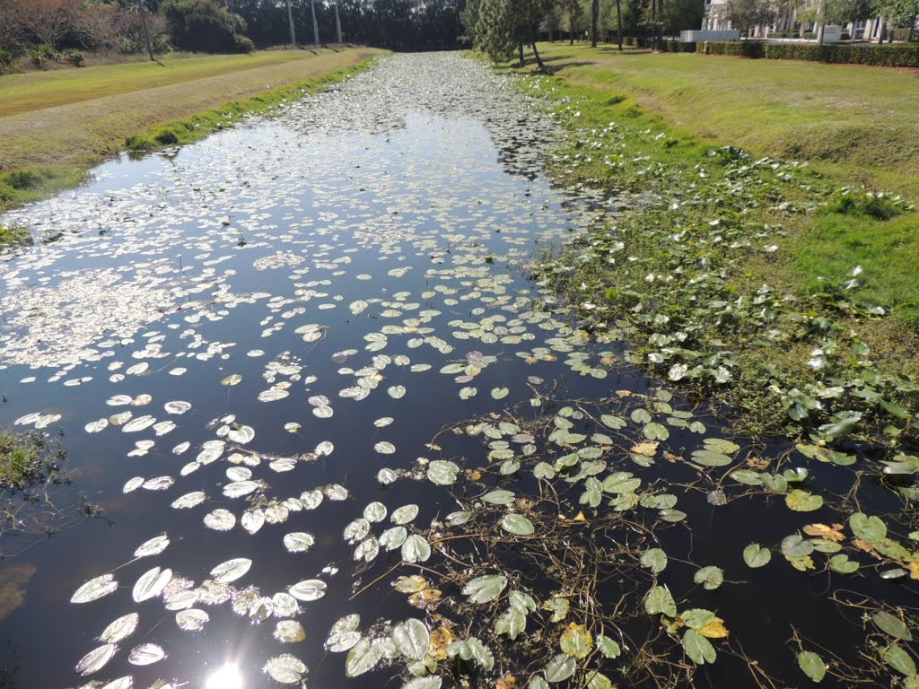 Canal