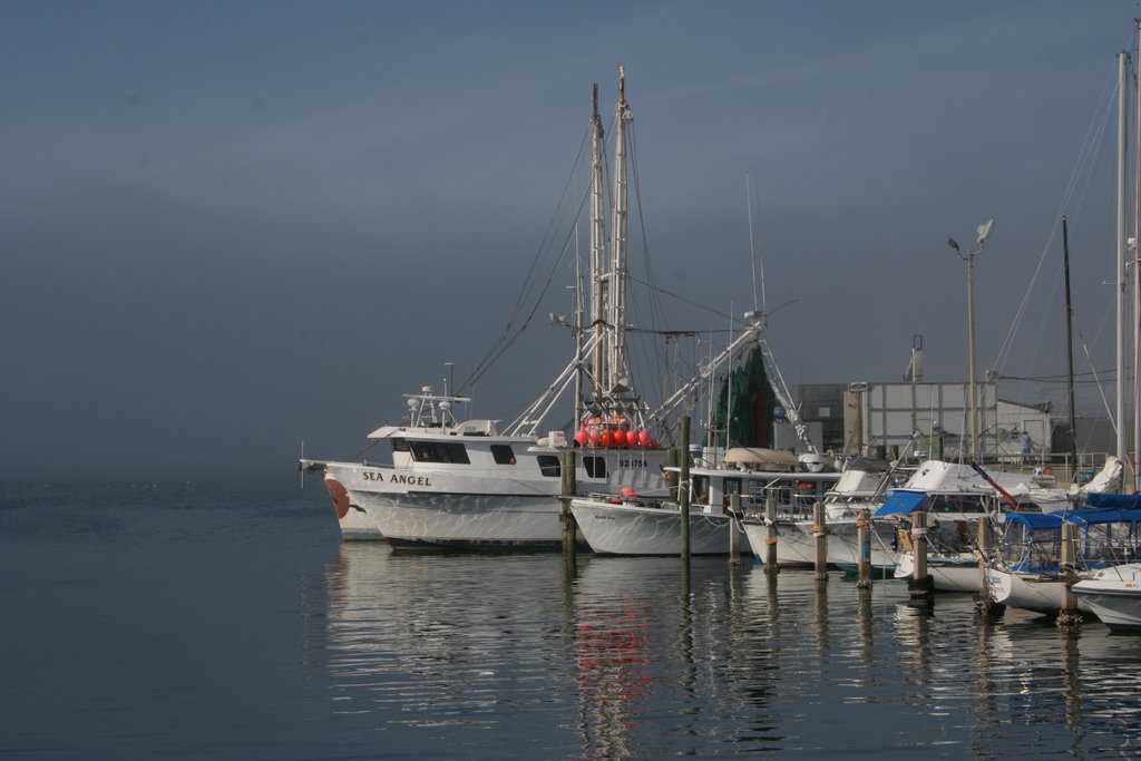 Fog on the Panama City Marina