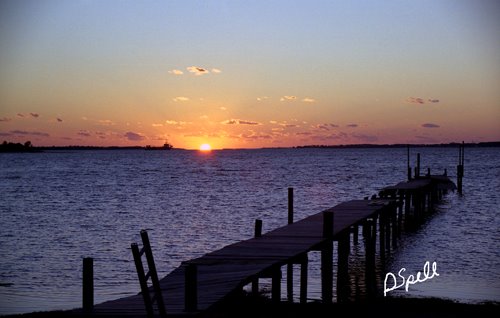 Florida Orange Sunset 2005