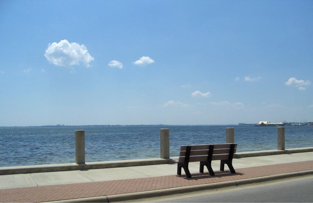 Nice View