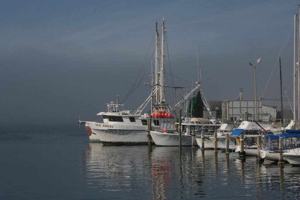 Trawler with fog