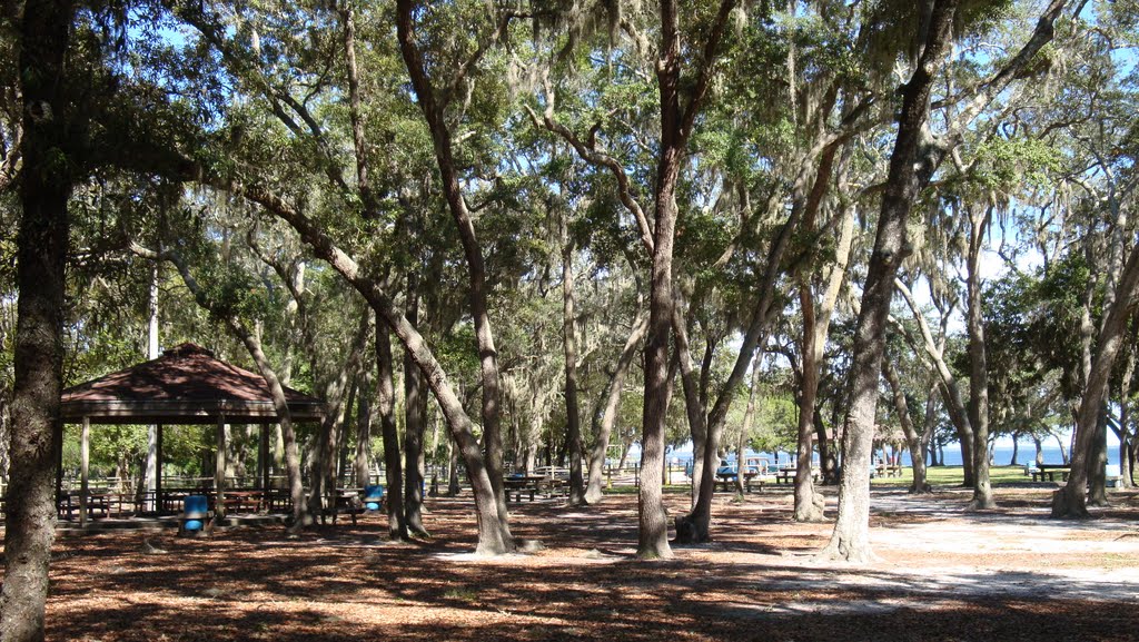Under the Oaks Park