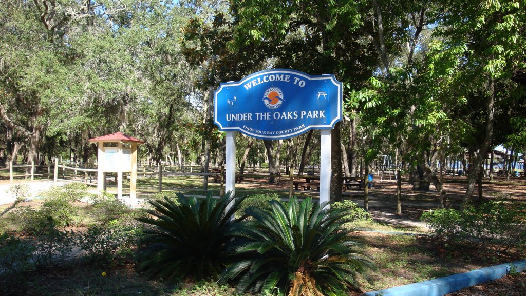 Under the Oaks Park