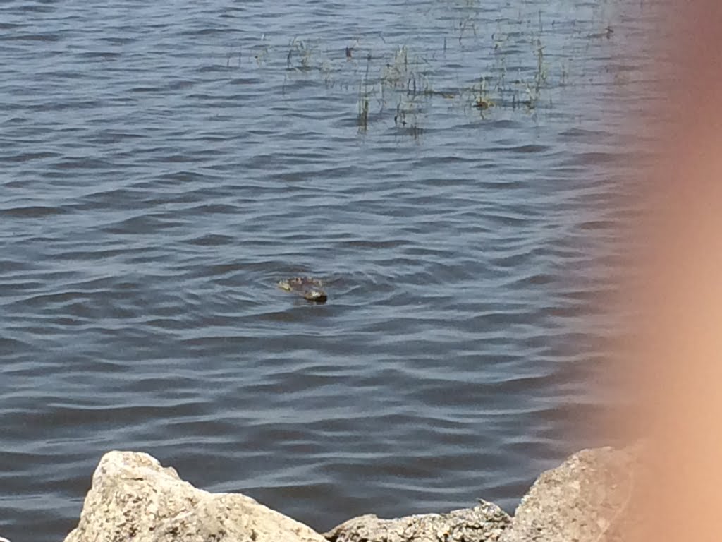 Pahokee RV Campground