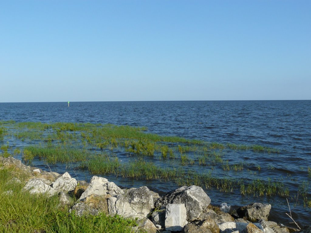 Lake Okeechobee midday, July