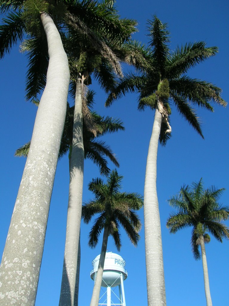 Near Pahokee City Hall