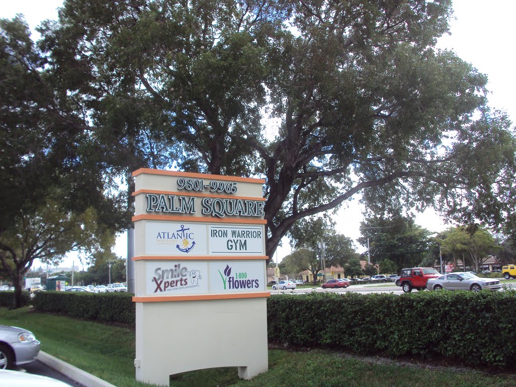 Palm Square Sign