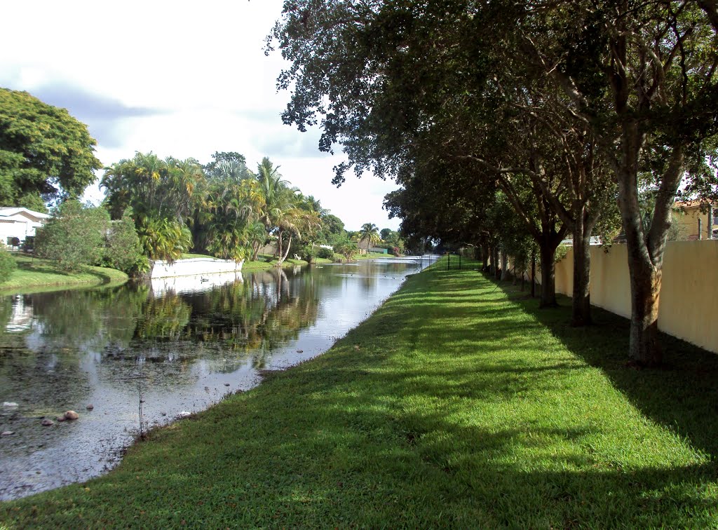Perspective of NW 2nd St Canal