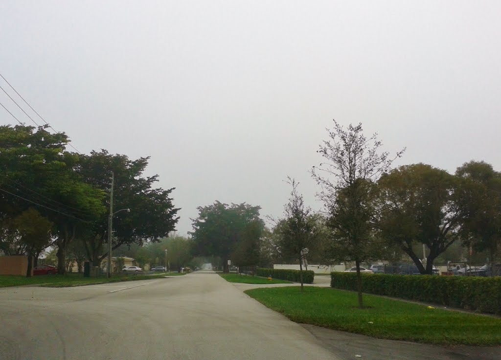 Foggy Morning at NW 98th Ave