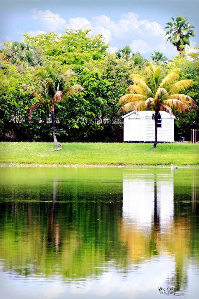 Pembroke Pines Lake at Pembroke Lakes