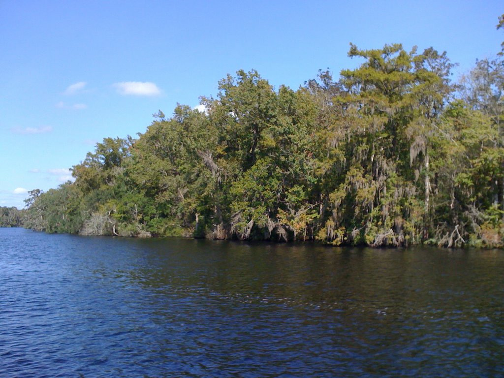 Black Creek View 3