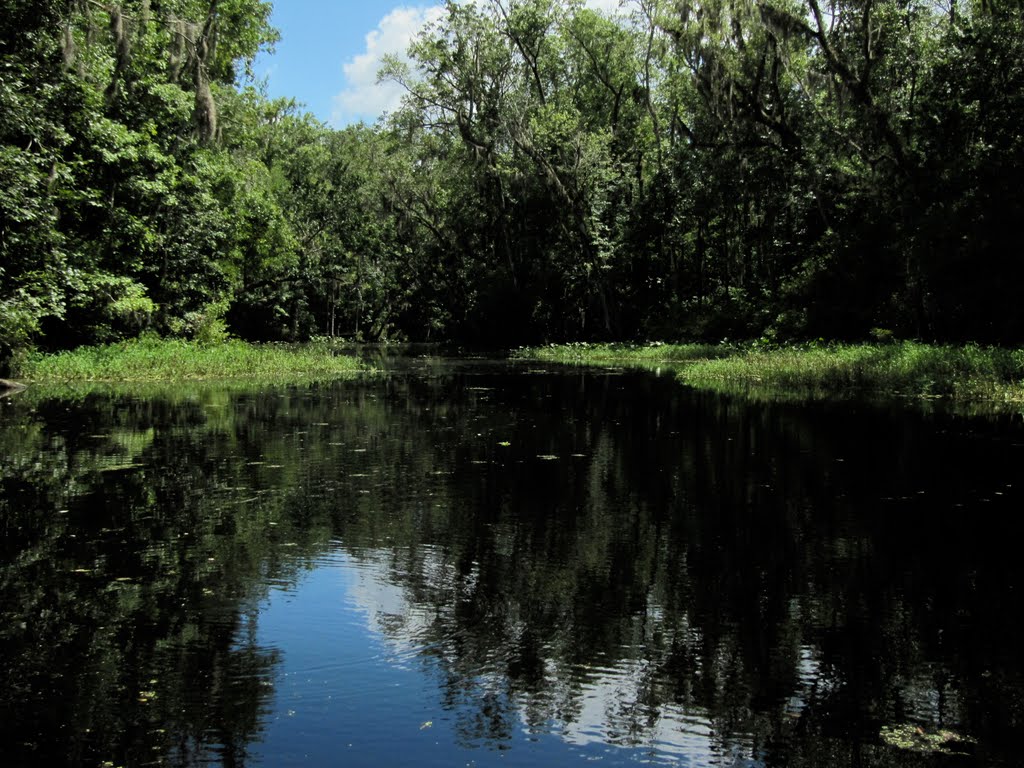 Peters Creek View 12