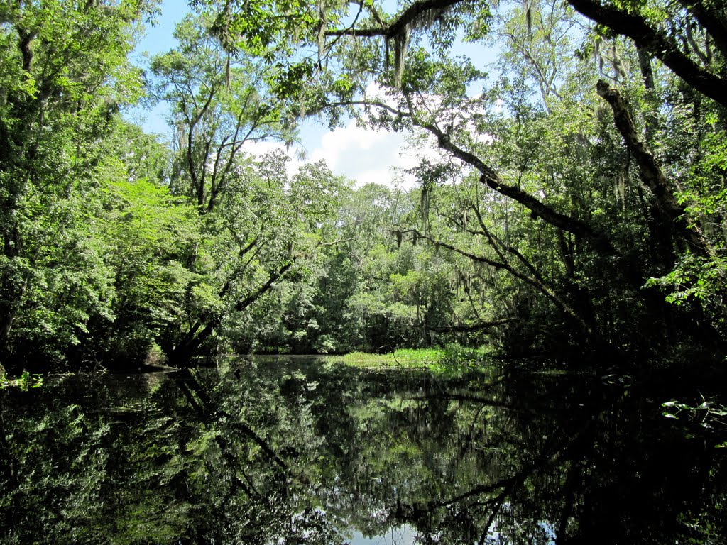 Peters Creek View 14